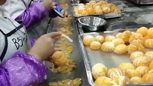 當(dāng)下食品廠的操作間,竟然都不戴口罩,看來(lái)這個(gè)食品廠開(kāi)不長(zhǎng)了